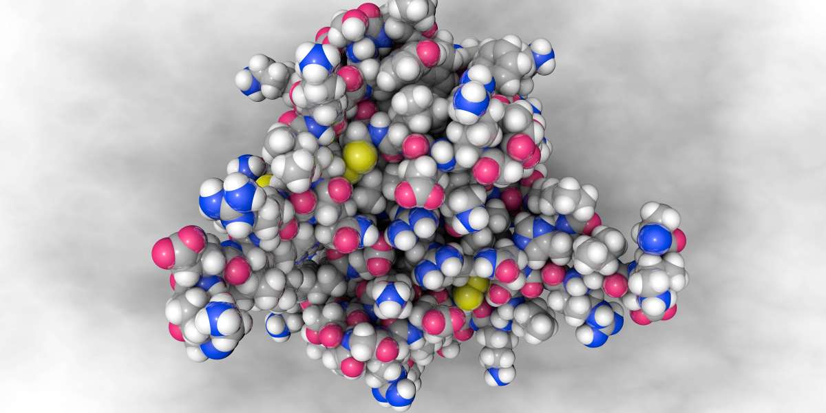 The Fundamental Principles and Types of Chromatography