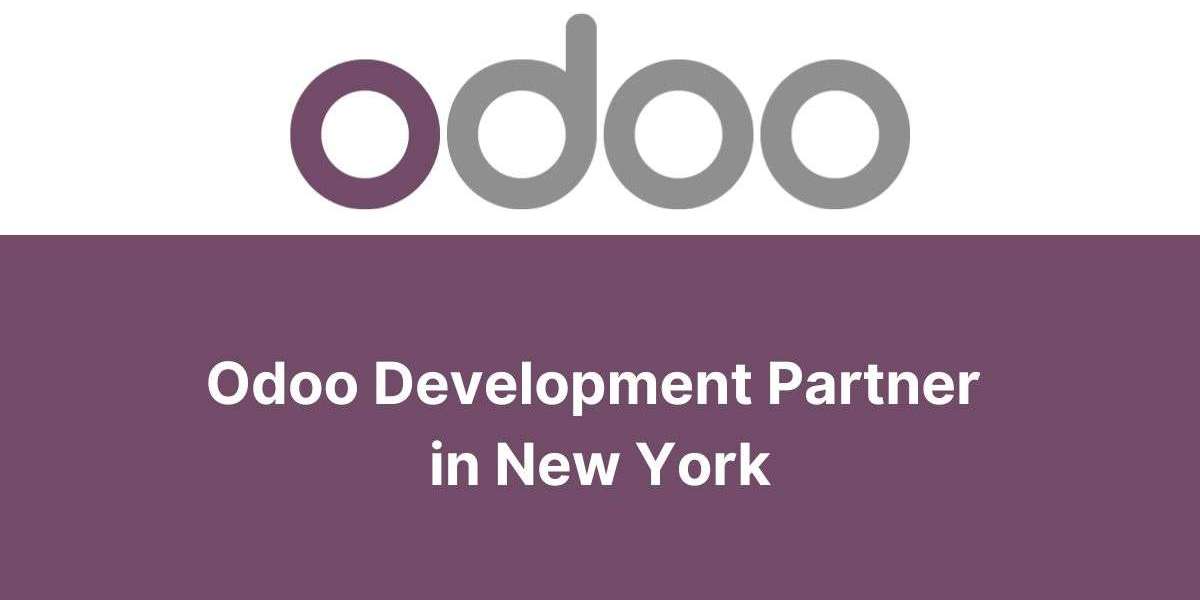 Choosing the Right Odoo Development Partner in New York