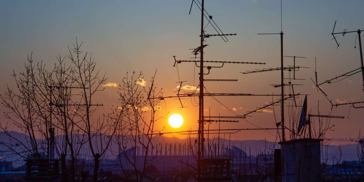 The Fundamental Choice of a 132 kV Grid Station: A Spine of Present day Energy System