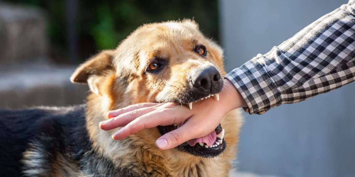 Employee Dog Bite Prevention |  Strategies for Workplace Safety