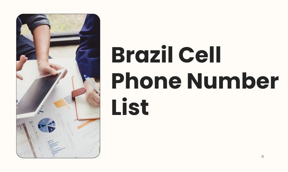 Brazil Cell Phone Number List | Bulk Email Data