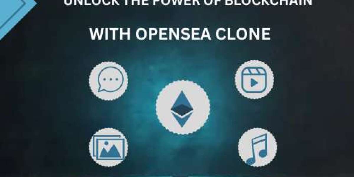 Building a Profitable OpenSea Clone: A Step-by-Step Guide for Entrepreneurs