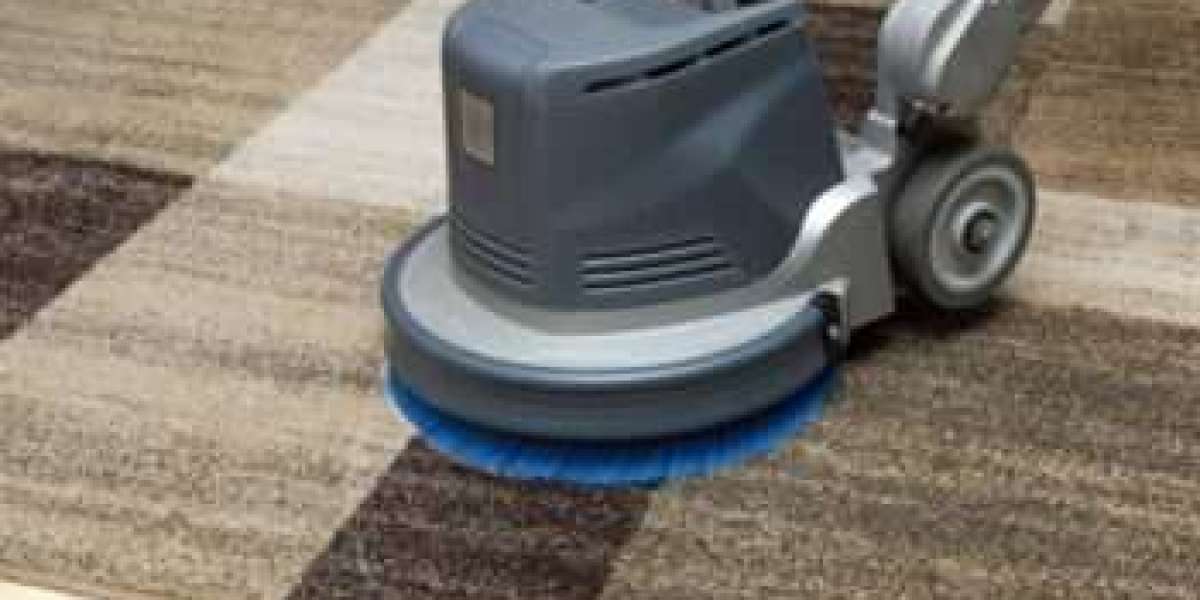 The Impact of Carpet Cleaning on Home Wellness