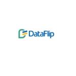 dataflipco