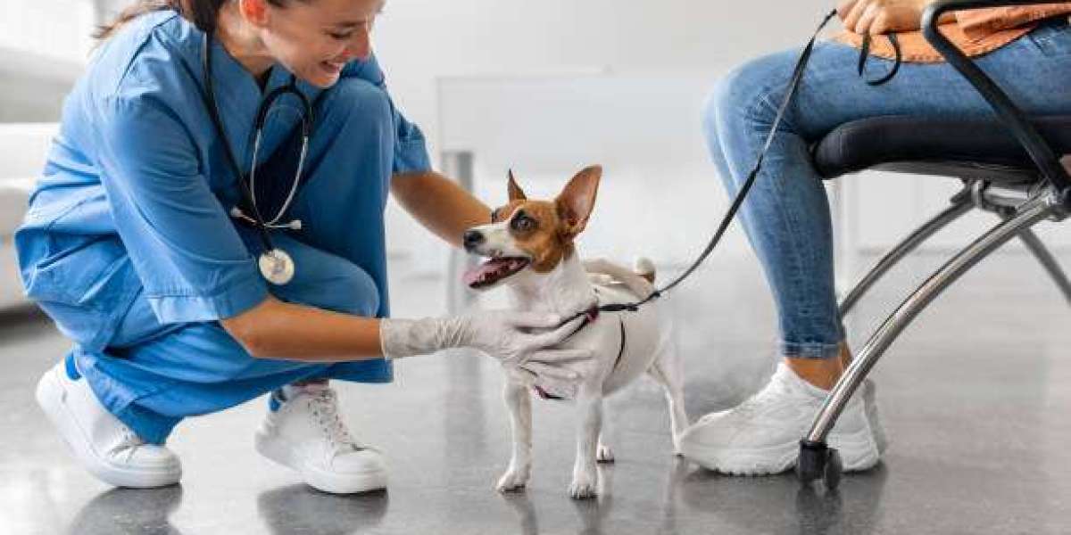 The Most Trusted Veterinary Clinic for Your Pet’s Health and Safety