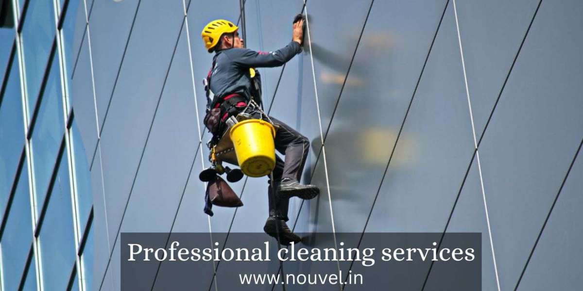 Professional Cleaning Services: Ensuring a Cleaner, Healthier Environment