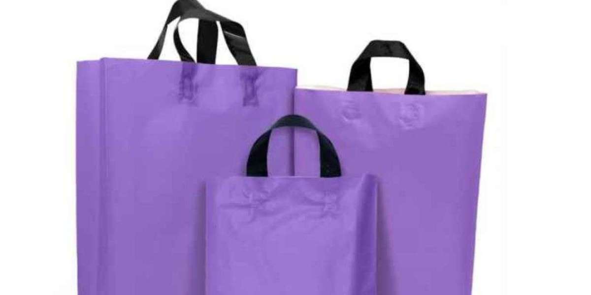 The Essential Role of Plastic Carry Bags in Modern Retail