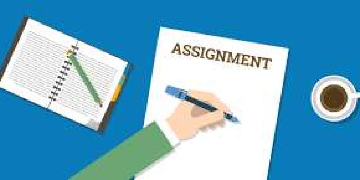 What does a managerial accounting assignment helper do