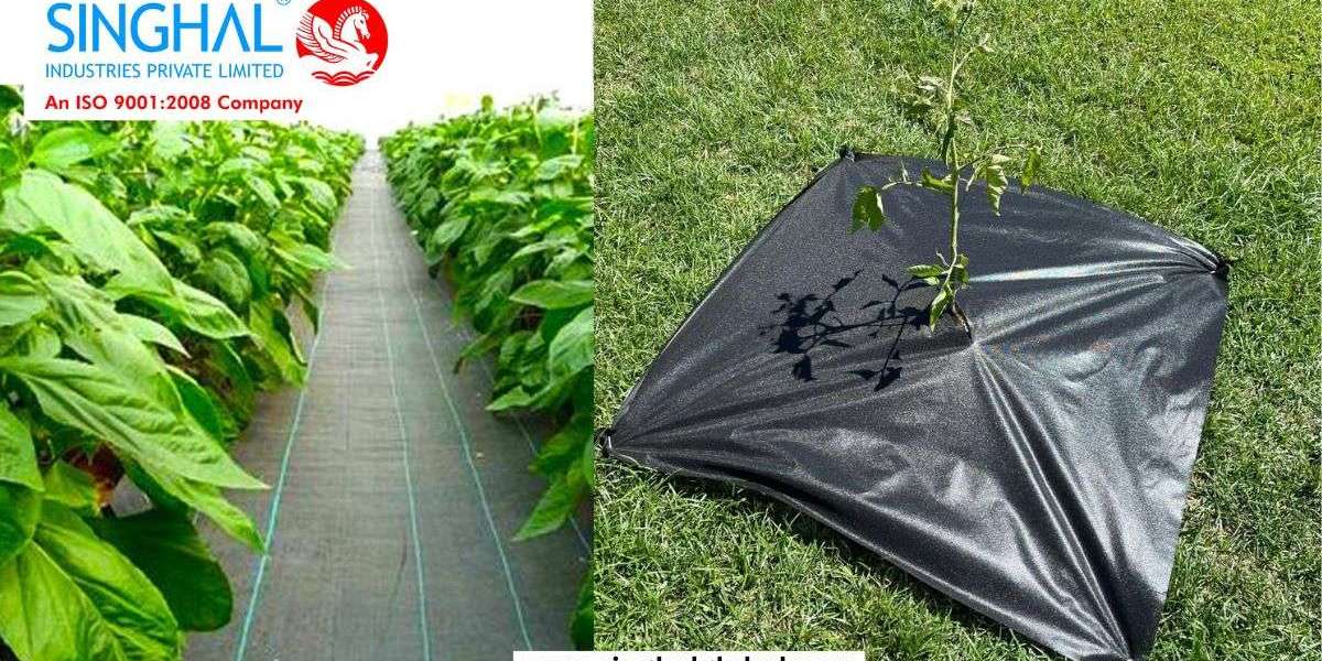 Weed Mat: A Simple Solution for Effective Weed Control