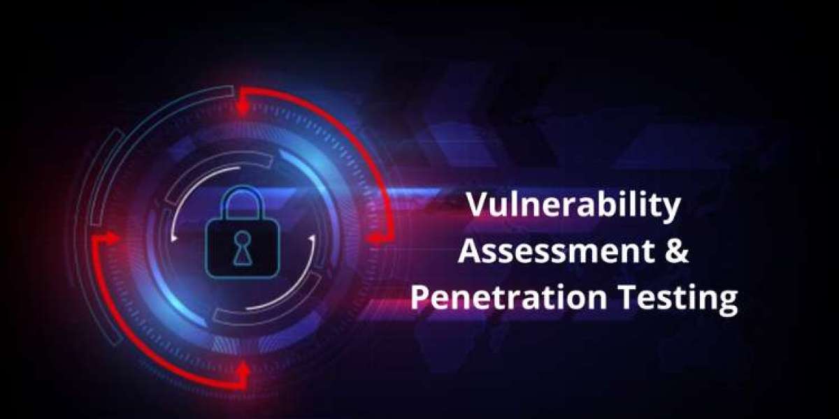 Comprehensive Wireless Network Vulnerability Assessment Services in Delhi NCR