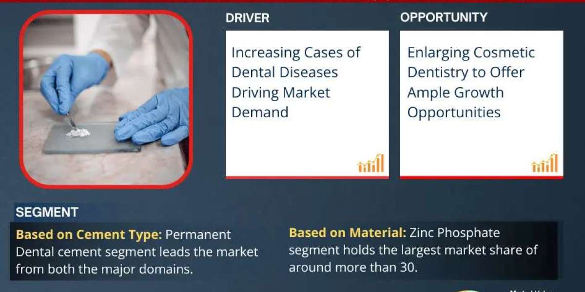 Dental Cement Market Size, Trend, Companies and Growth Insight – 2025-2030