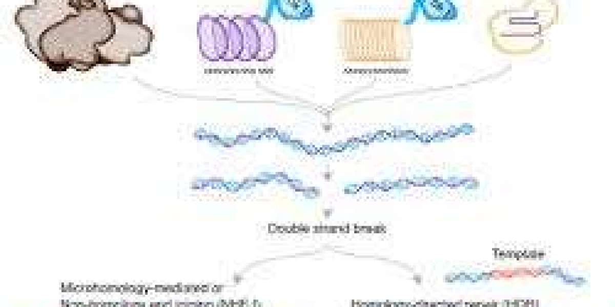 Gene Editing: Revolutionizing the Future of Science, Medicine, and Ethics