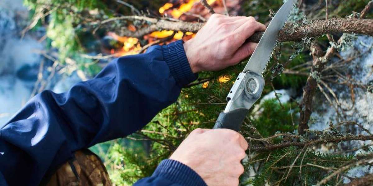 Enhancing Your Landscape and Property with Expert Tree Care