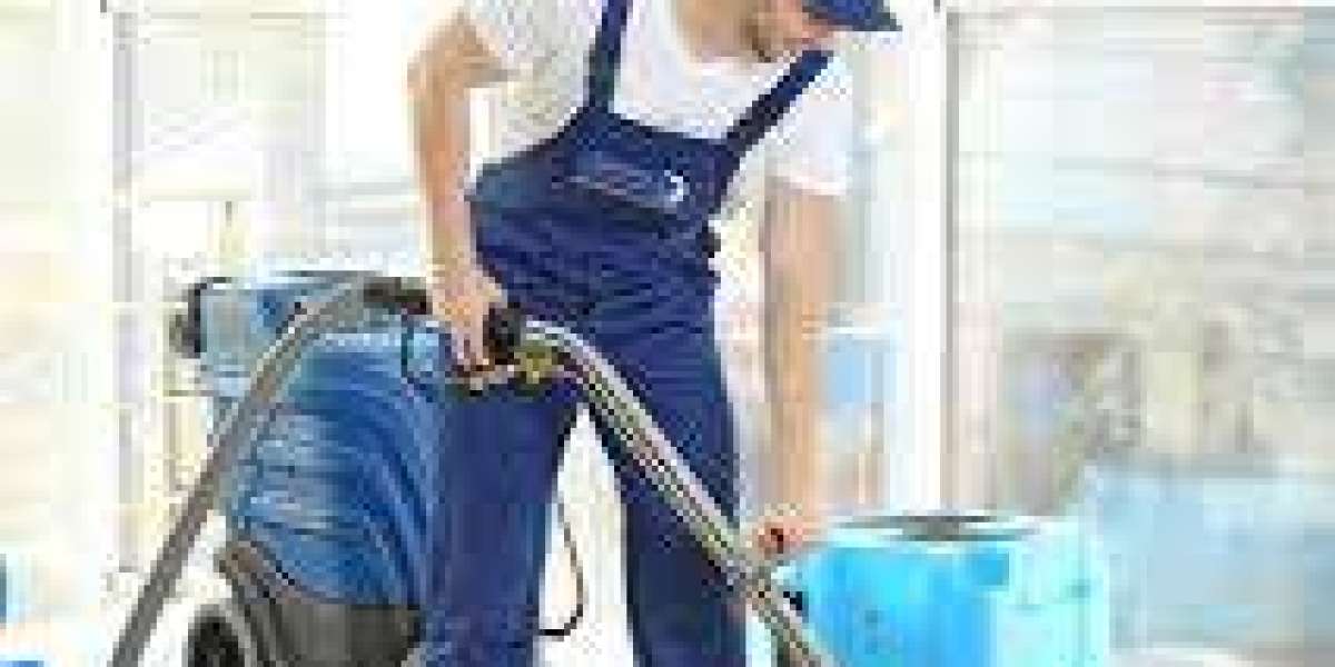 The Essential Nature of Carpet Cleaning for Home Comfort