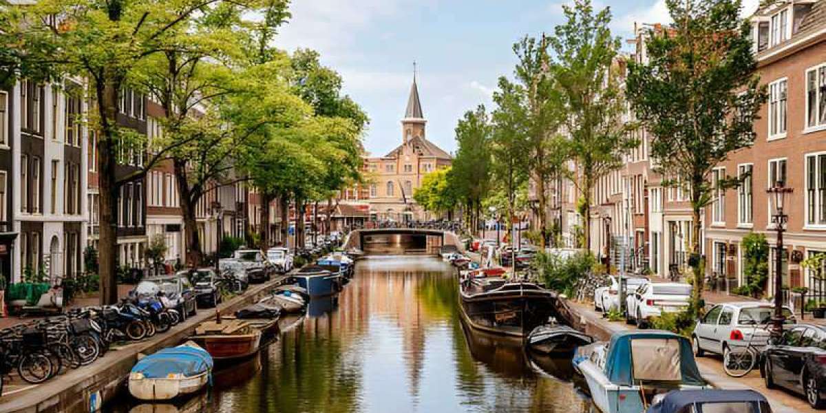 Top 10 Nightlife Spots to Experience in the Netherlands