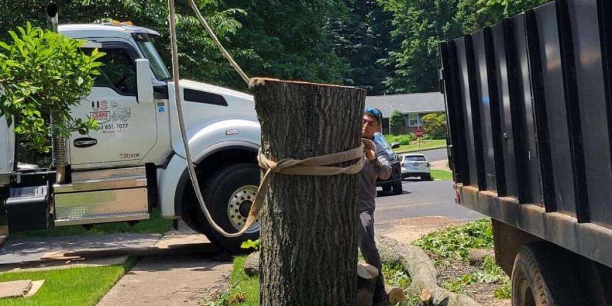 Professional Tree Removal for Safe and Clear Spaces