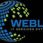 webloit services