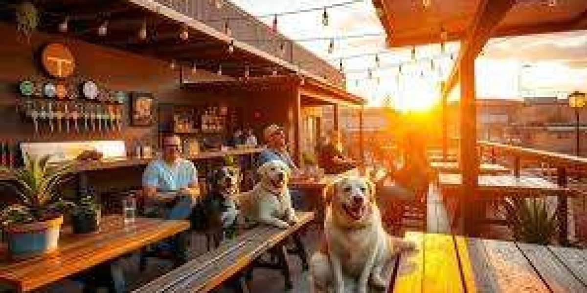 DISCOVER THE BEST DOG-FRIENDLY RESTAURANT IN ALBUQUERQUE