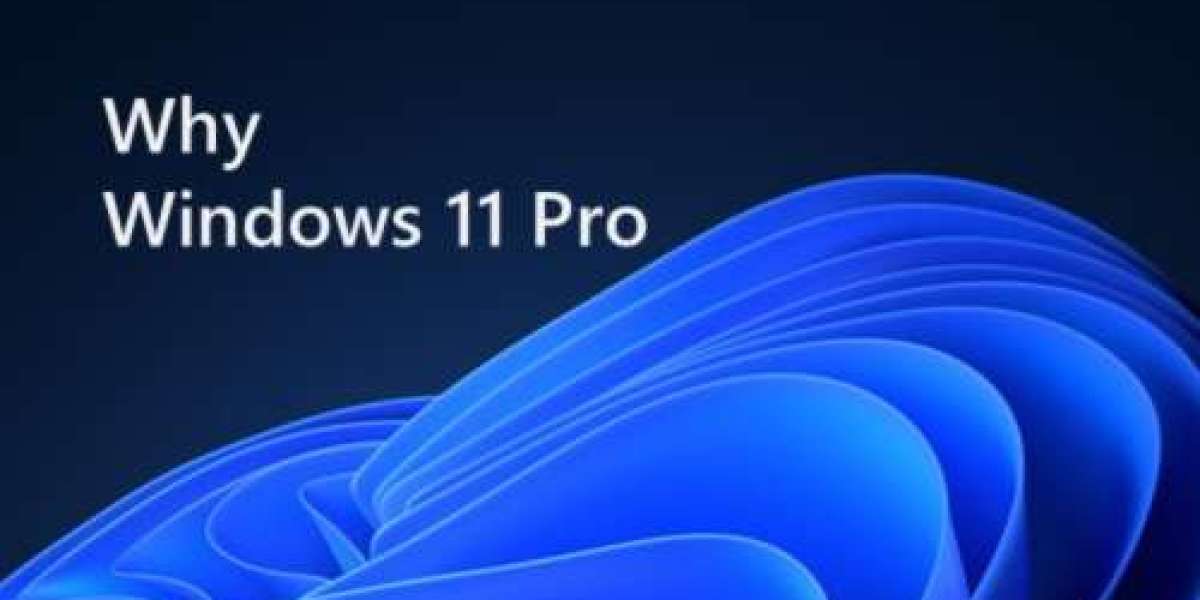 Windows 10 and 11 Pro License Key Resellers in India - What You Should Know