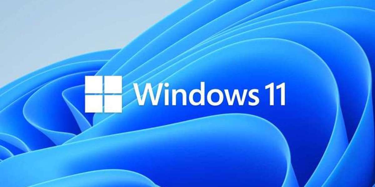 Why Choose a Microsoft Windows 11 OS License Provider in India