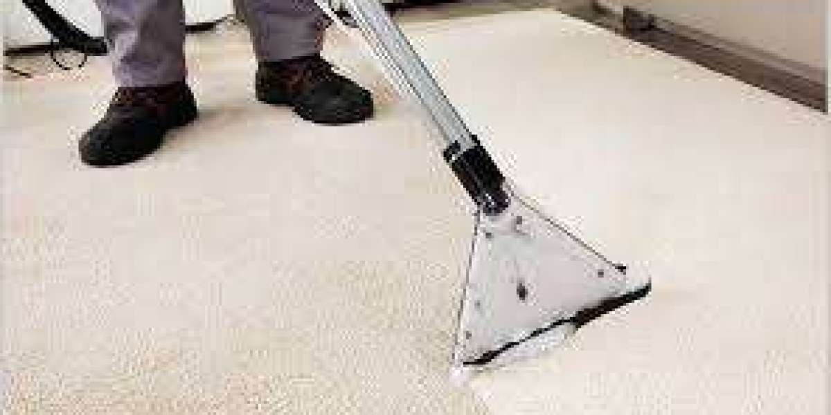 The Essential Nature of Regular Carpet Cleaning for Home Comfort