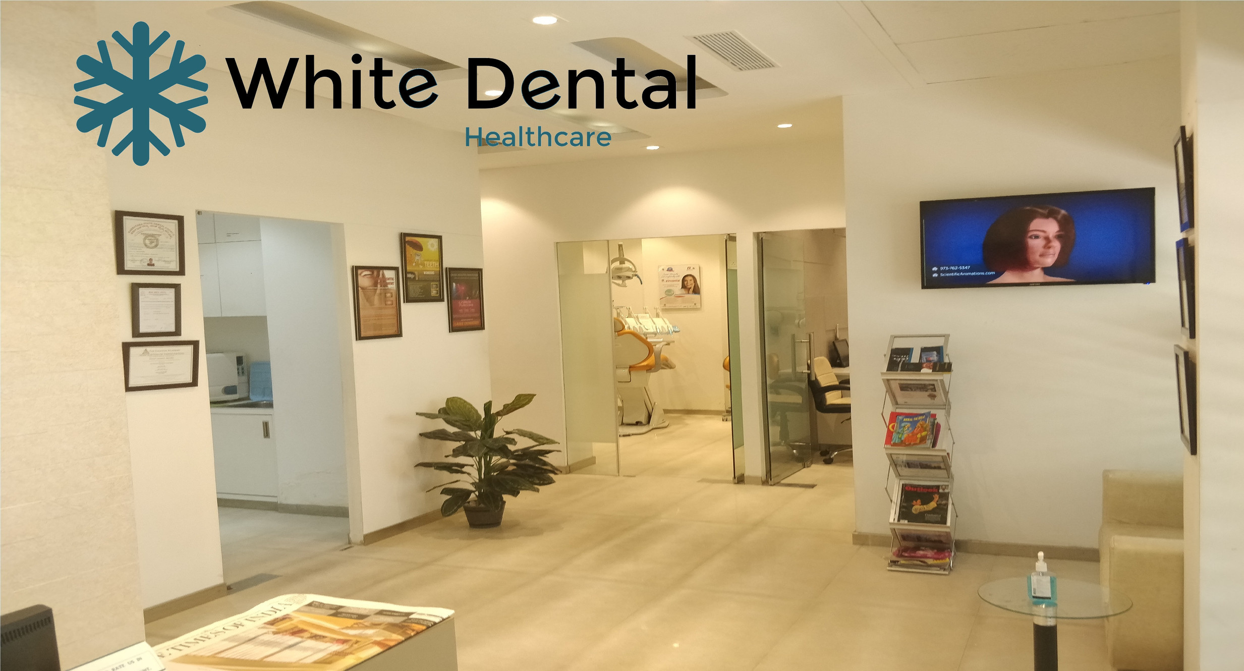 White Dental | Orthodontist-in-ghaziabad