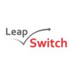 Leap switch