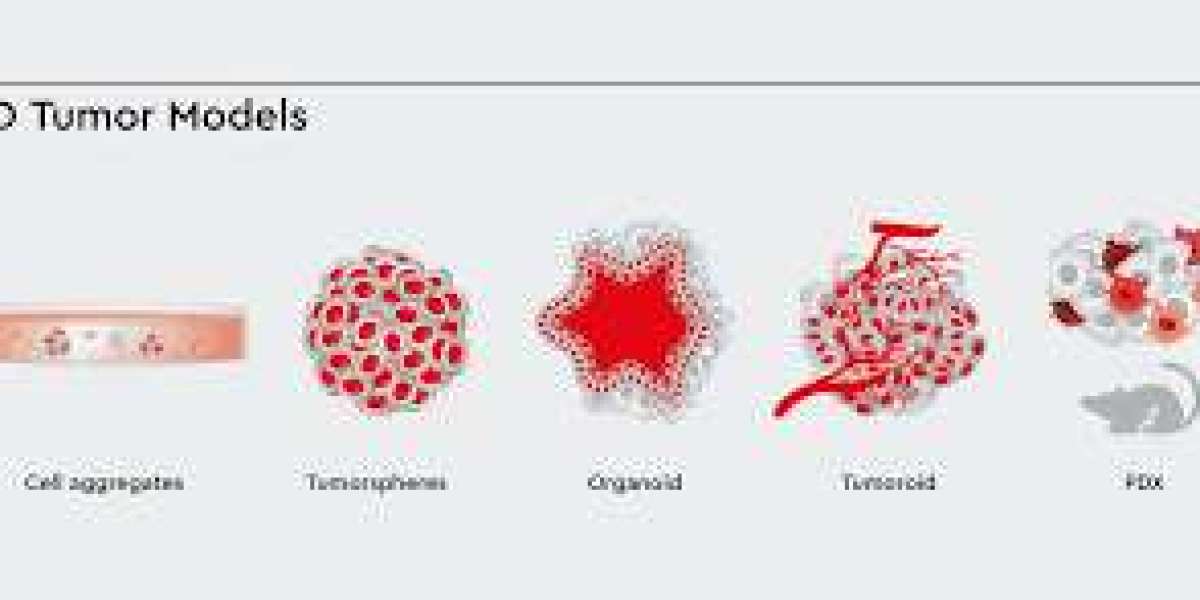 Tumor Models: Advancing Cancer Research and Treatment