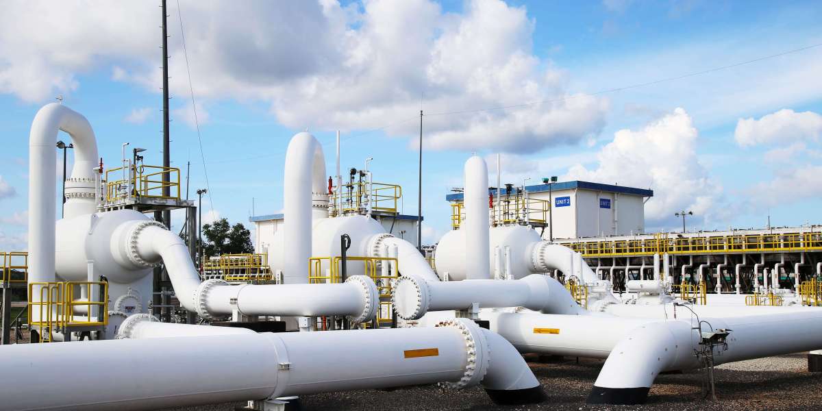 LPG Gas in Malaysia: Key Insights and Role in the Energy Sector