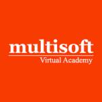 Multisoft Virtual Academy