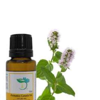 Spearmint Organic Essential Oil Profile Picture