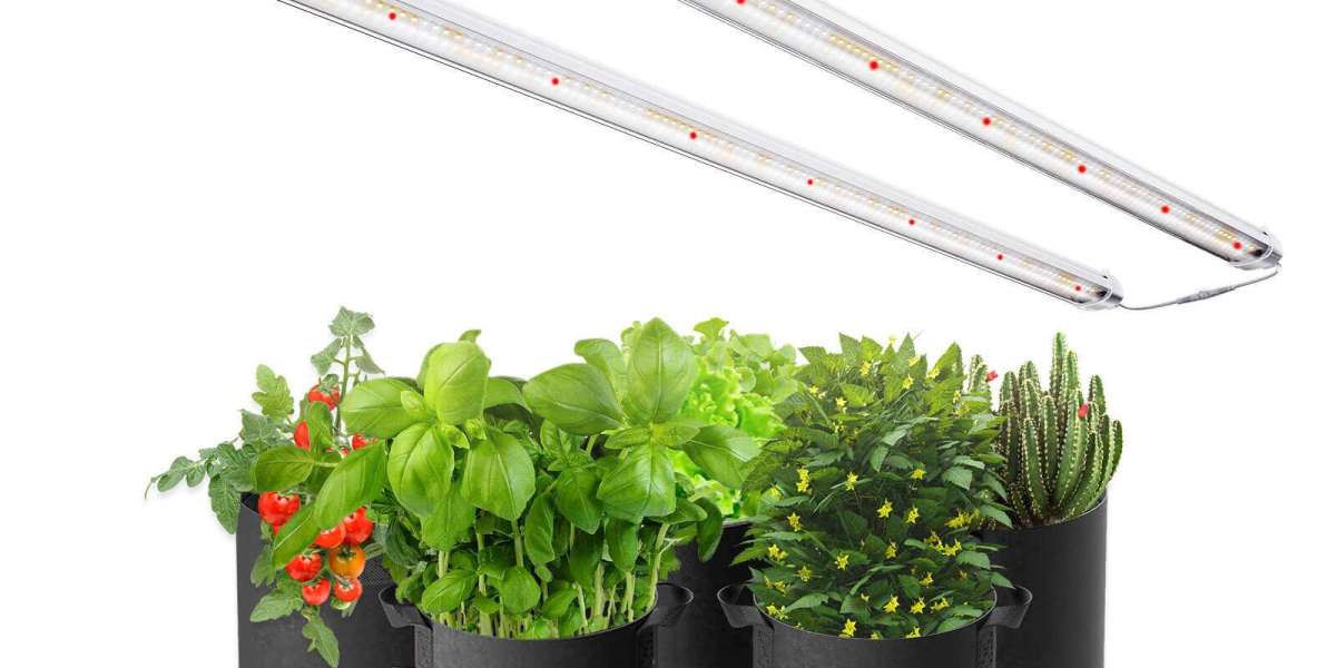 Boost Your Garden's Growth with Powerful LED Grow Lights for Plants from SinoCoLED