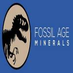 Fossil Age Minerals