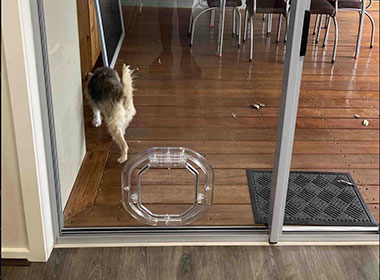 Dog Door – Adelaide's Dog Door Glass Specialist