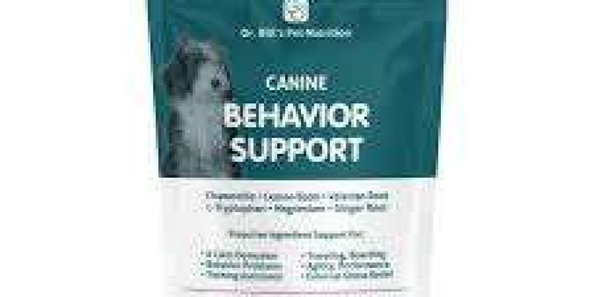 UNLOCKING THE BENEFITS OF DOG BEHAVIORAL SUPPLEMENTS FOR A HAPPIER PET