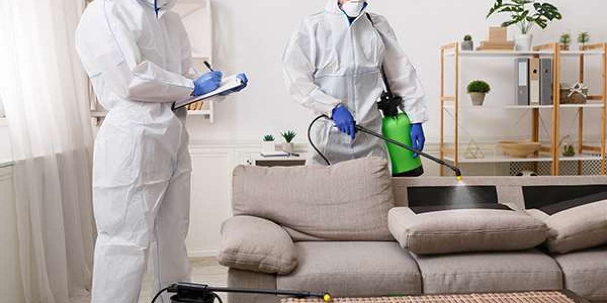 How Can Professional Pest Control Services in Nampa Protect Your Home?