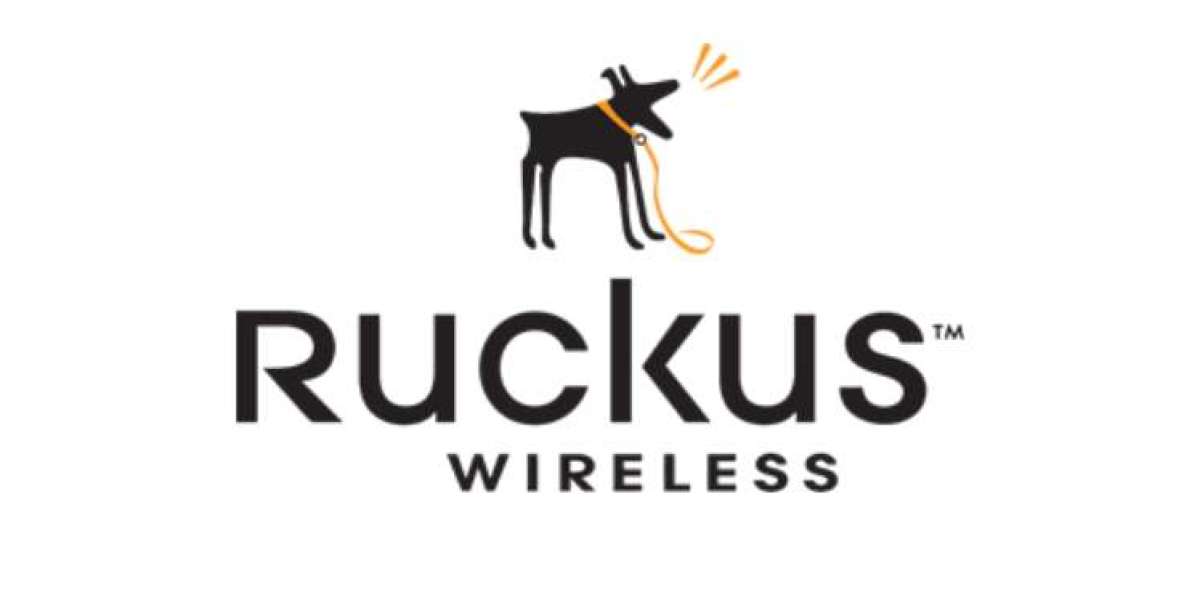 Ruckus Wireless Access Points: The Future of Connectivity in India