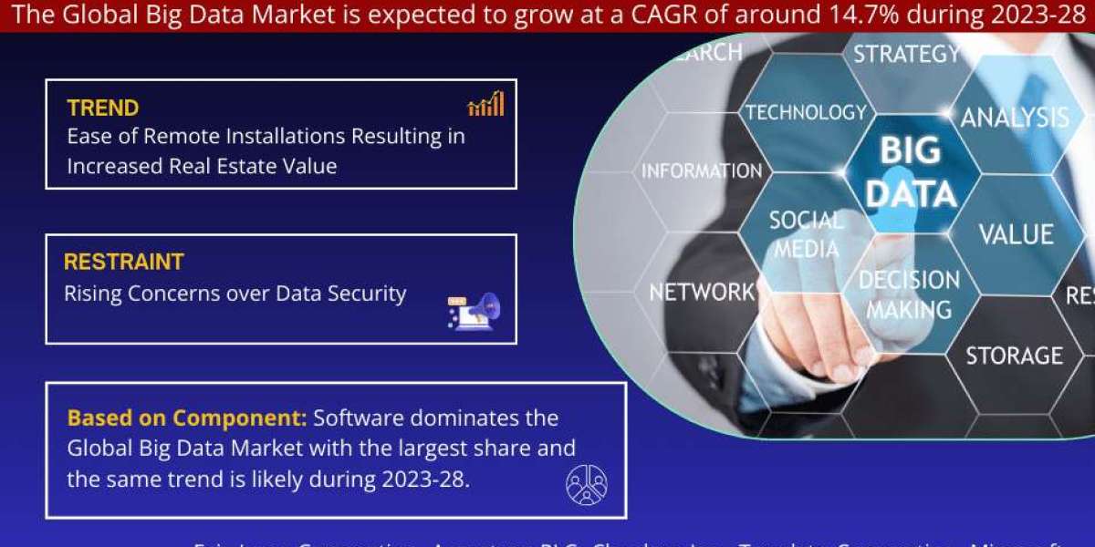 Big Data Market Analysis 2028 - Size, Share, Growth, Trends, and Industry Insights