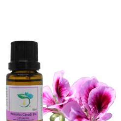 Geranium Essential Oil Profile Picture