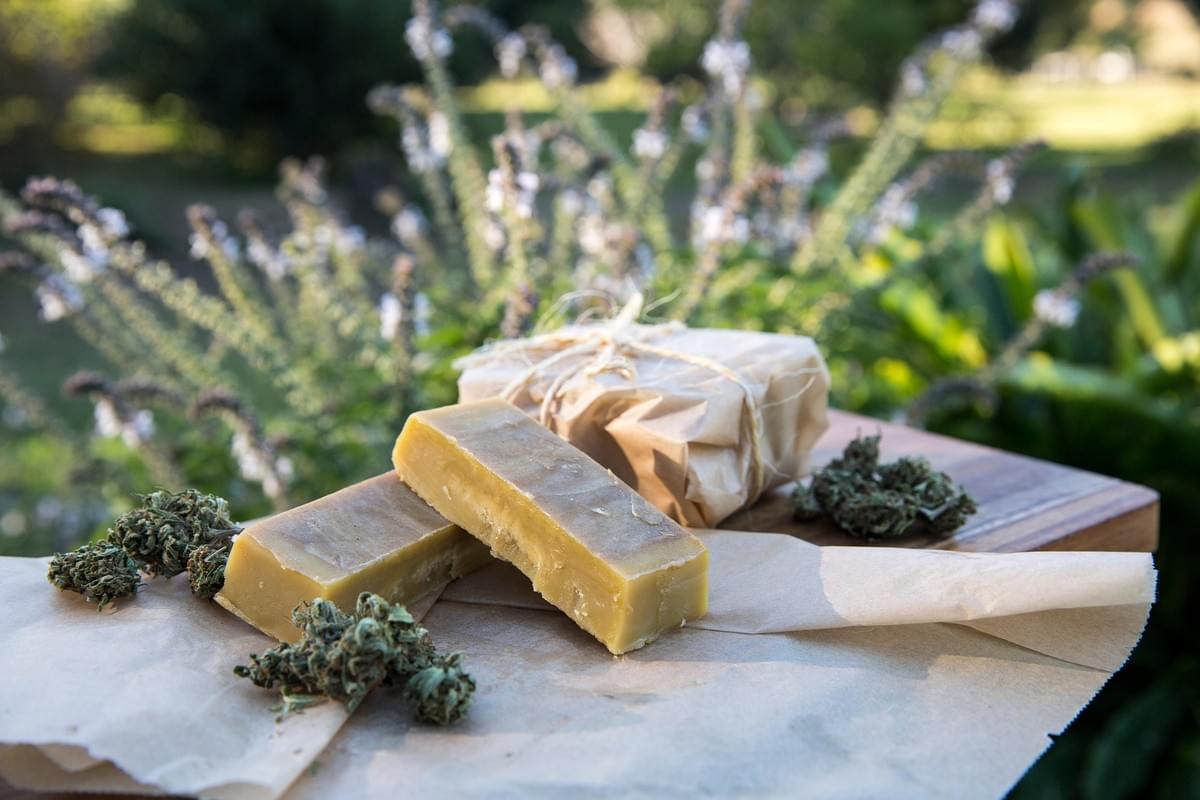 Edible Cannabis Products: A Complete Guide to Benefits,...