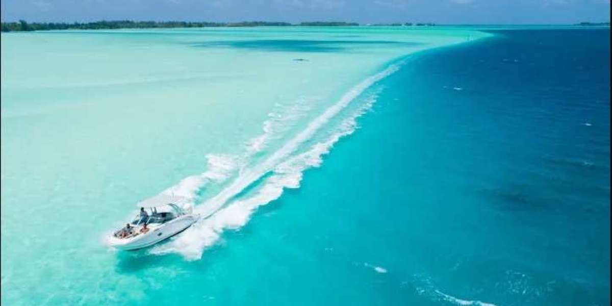 Activités incontournables à Bora Bora pour une aventure inoubliable