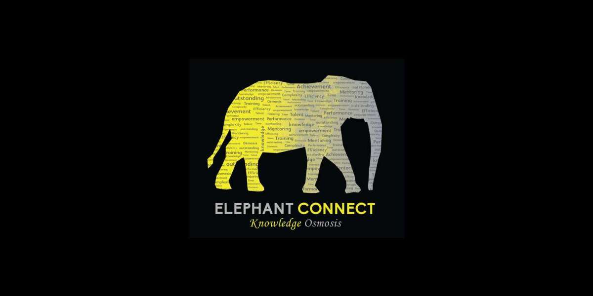 Elephant Connect Education