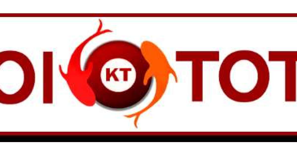 The Evolution of Koi Toto: From Start to Success