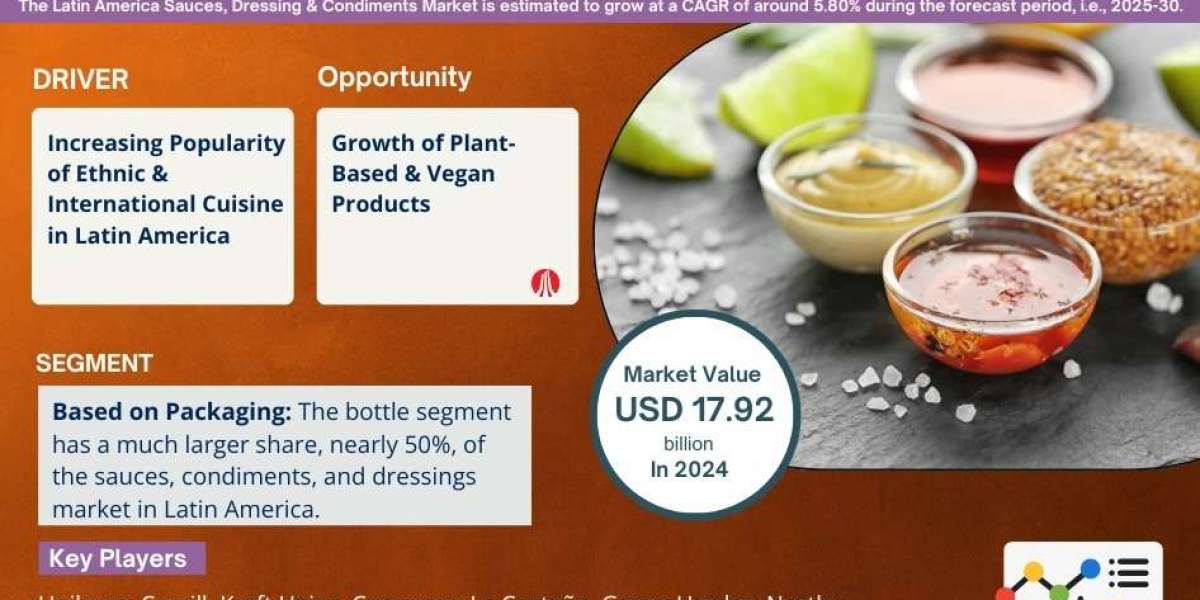 Latin America Sauces, Dressings & Condiments Market Strategic Insights into Key Players 2025 to 2030