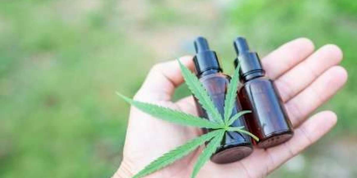 CBD Rennes : Découvrez les bienfaits du cannabidiol