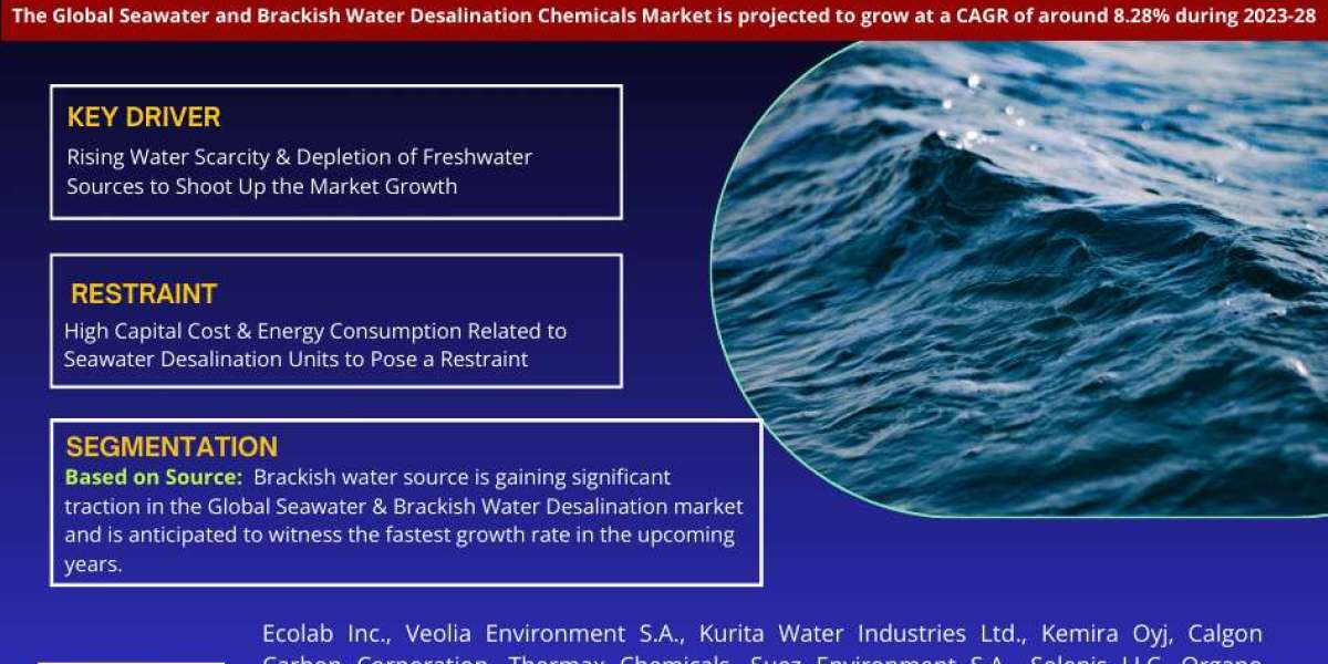 Seawater and Brackish Water Desalination Chemicals Market Analysis 2028 - Size, Share, Growth, Trends, and Industry Insi