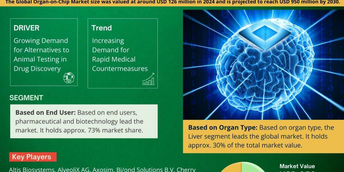 Global Organ-on-Chip Market Comprehensive Analysis and Forecast 2025 to 2030