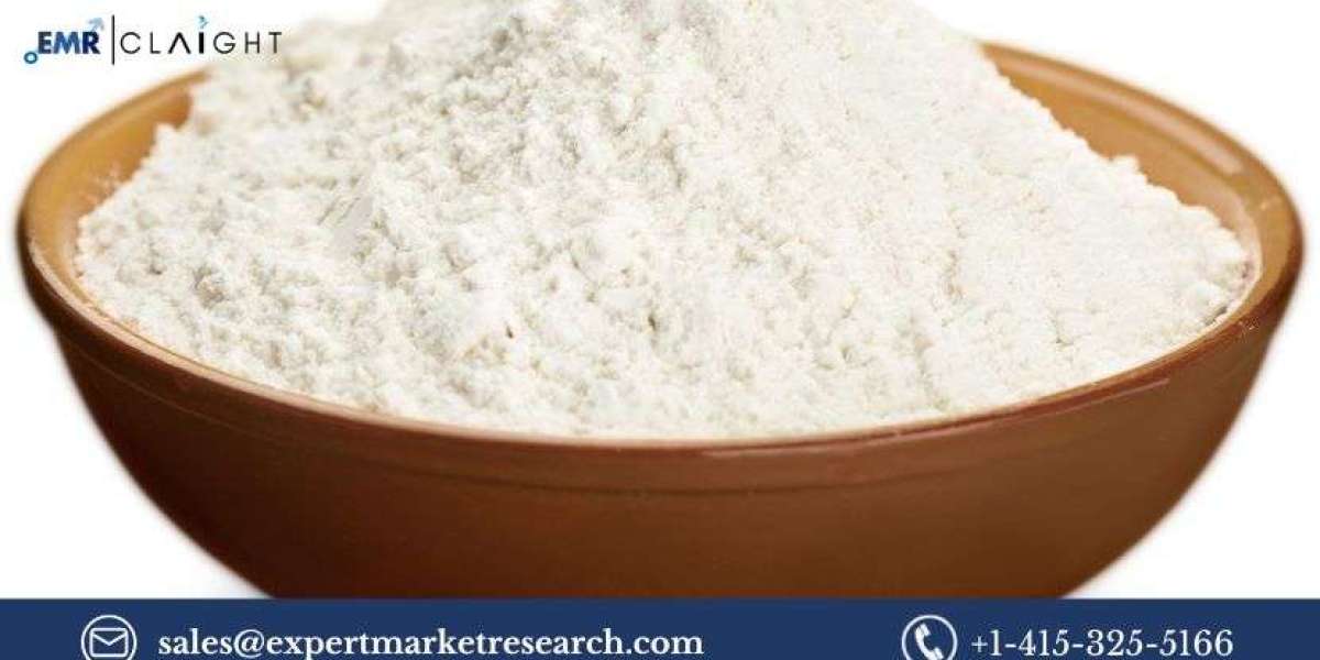 Pulse Flour Market: Trends, Opportunities, and Forecast (2025-2034)