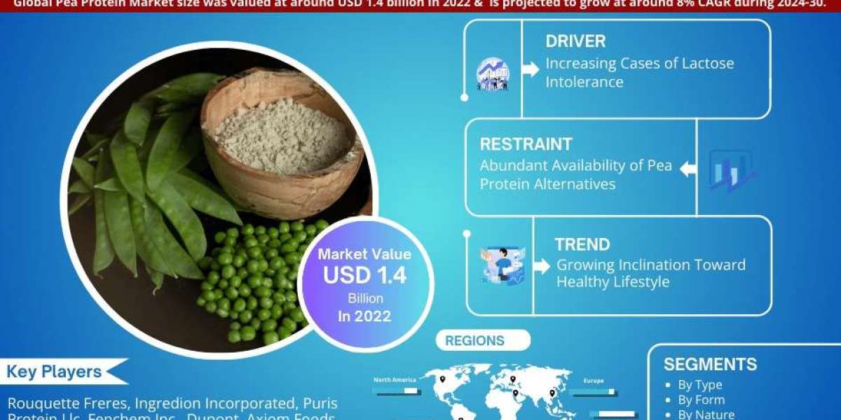 Pea Protein Market Growth, Key Trends & Factor Driving Industry till 2030