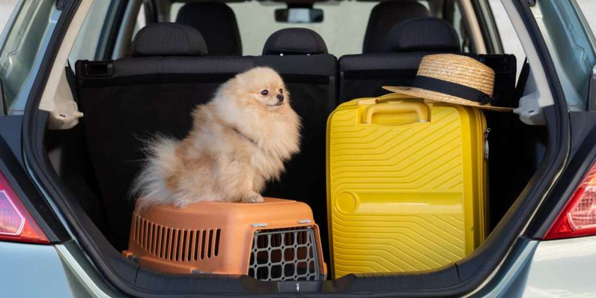 Top Subaru Pet Accessories to Keep Your Car Clean and Pet-Friendly